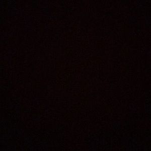 Meet your Posher, Maddie